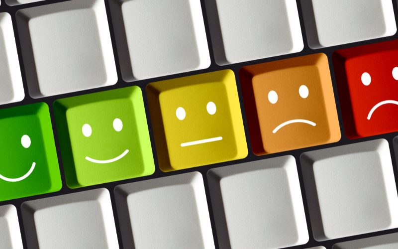 Collects Valuable Feedback From Customers