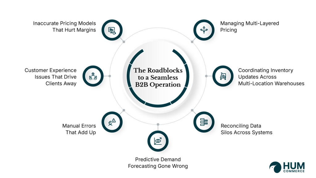 The Roadblocks to Seamless B2B Integration