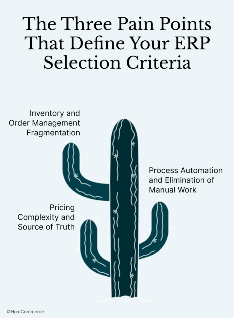 The Three Pain Points That Define Your ERP Selection Criteria