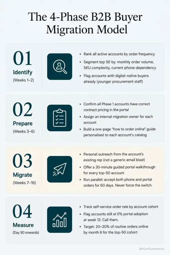 Infographic titled "The 4-Phase B2B Buyer Migration Model" outlining a structured approach to moving buyers from phone and email ordering to a self-service portal. Phase 1 – Identify (Weeks 1–2): rank accounts by order frequency, segment top accounts by order volume, SKU complexity, and phone dependency, and identify digitally ready buyers. Phase 2 – Prepare (Weeks 3–6): verify contract pricing, assign migration owners, and create personalized ordering guides. Phase 3 – Migrate (Weeks 7–16): conduct personal outreach, provide guided portal training, and run phone and portal ordering in parallel for 60 days. Phase 4 – Measure (Day 90 onward): monitor portal adoption, follow up with non-adopters, and target 20–30% of routine orders through the self-service portal within six months.